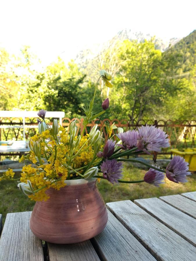 Chambre Ou Gite Dans Une Maison De Montagne - De Suzon A Zelie Entraigues  外观 照片